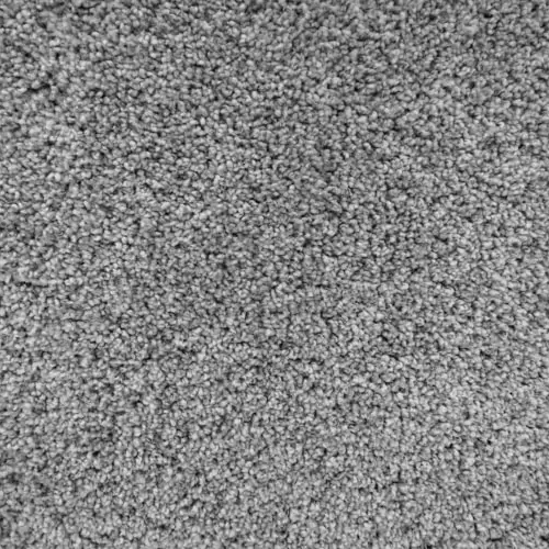 Carpet Swatch